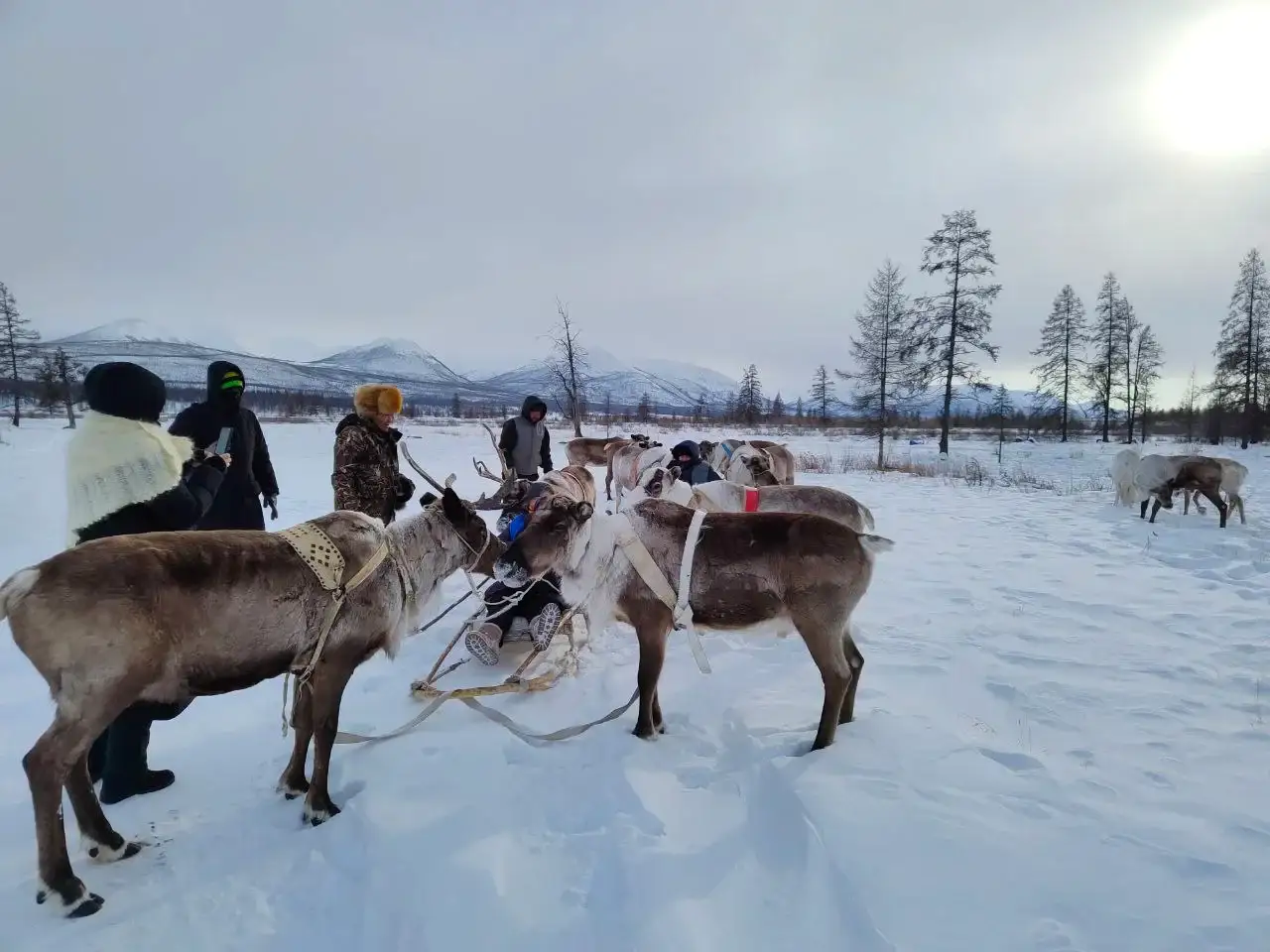 Тур в Оймякон и Сордонноох — 5 дней — фотография 5