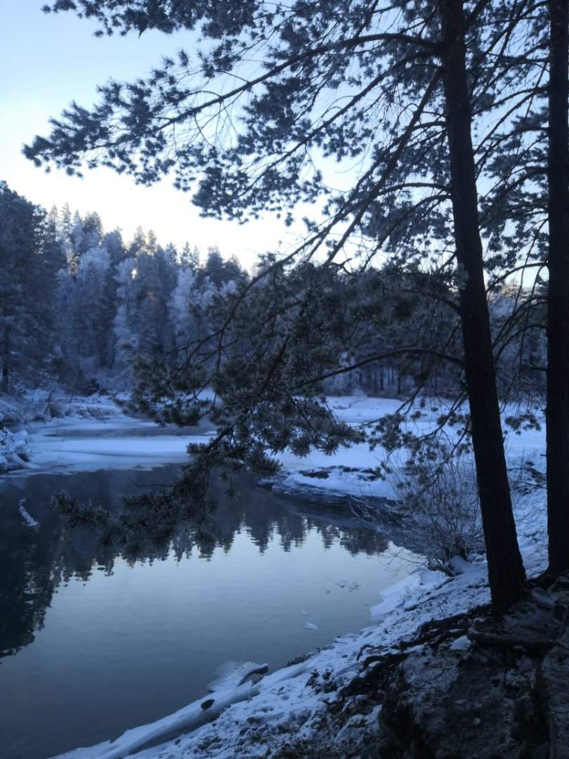 Зимняя сказка Алтая: от лебедей до принцессы гор — фотография 8