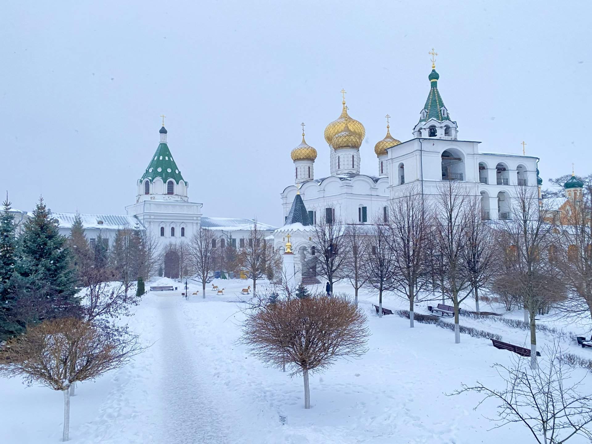 Кострома гастрономическая  — фотография 2
