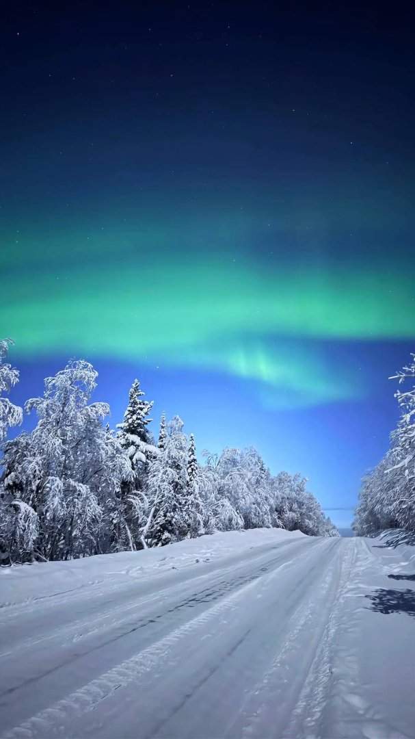Заполярные приключения — фотография 10
