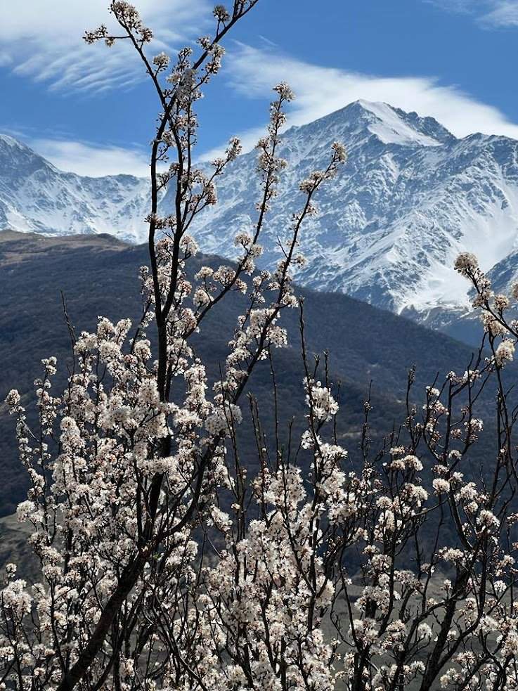 Осетия — Ингушетия: загадки кавказских ущелий — фотография 7