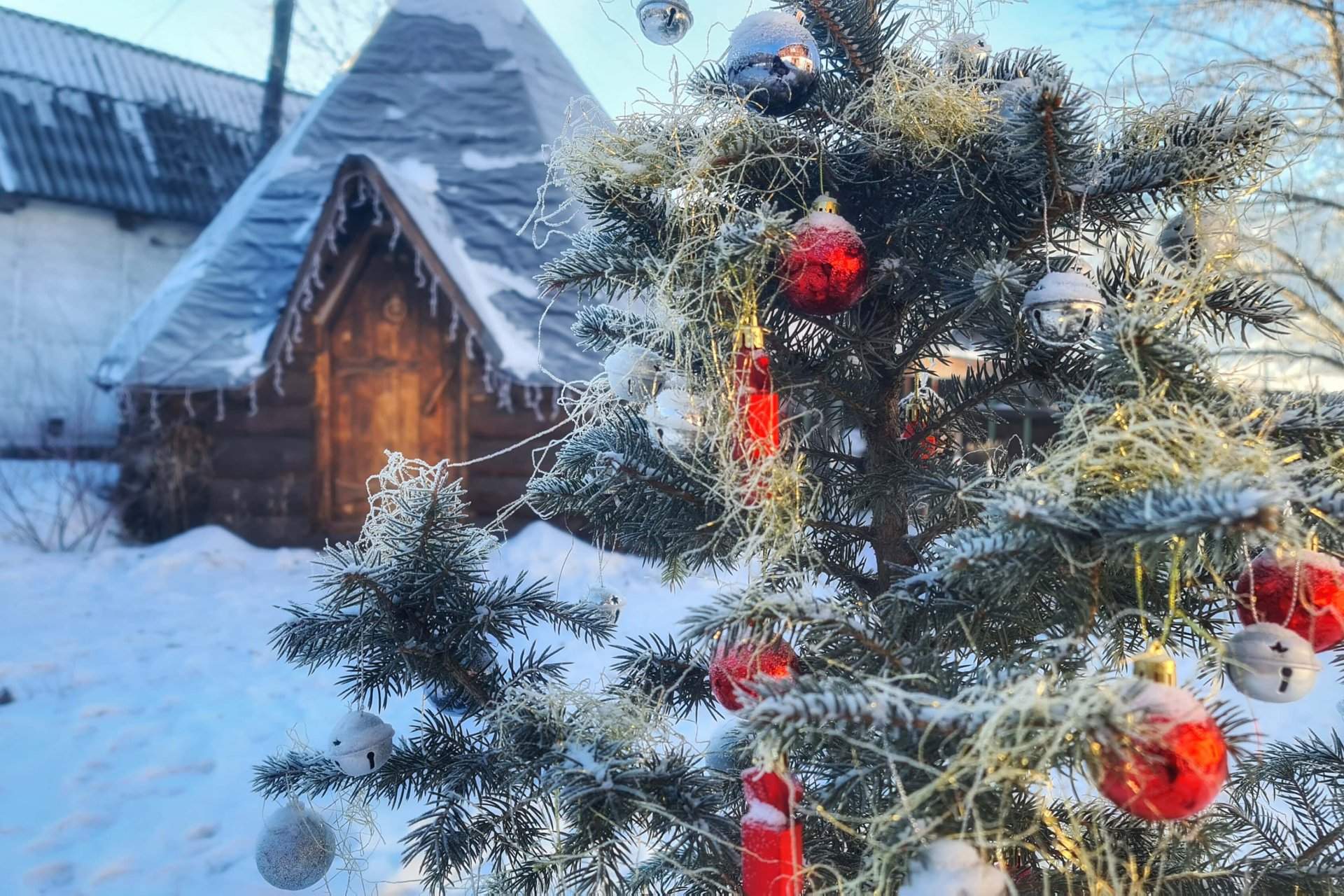 Новогодний конный тур по Алтаю — фотография 4
