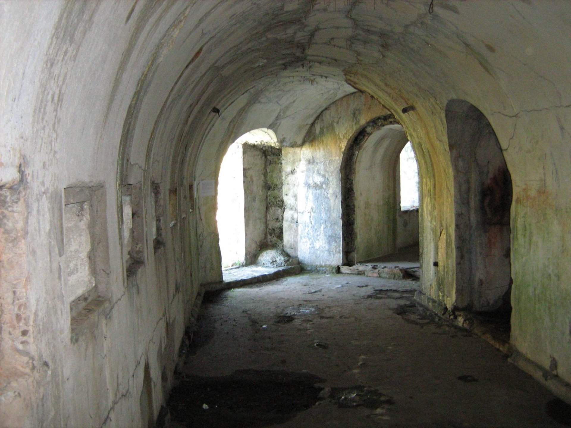 Приморский микс (осень — зима — весна) — фотография 6