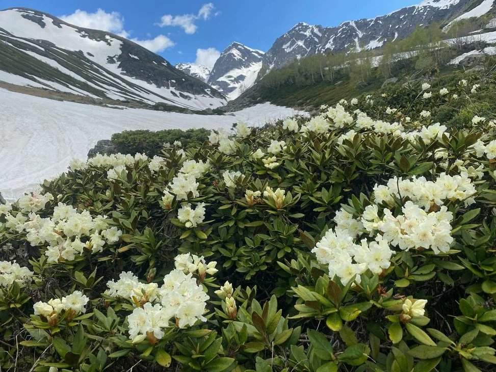 Тур в Архыз. Озёра, горы, водопады — фотография 10