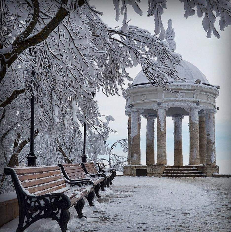Новогодние чудеса Кавказа — фотография 3