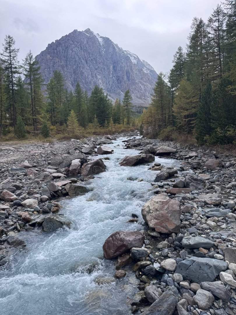 Тур на ледник Актру: тур 3 дня/2 ночи — фотография 4
