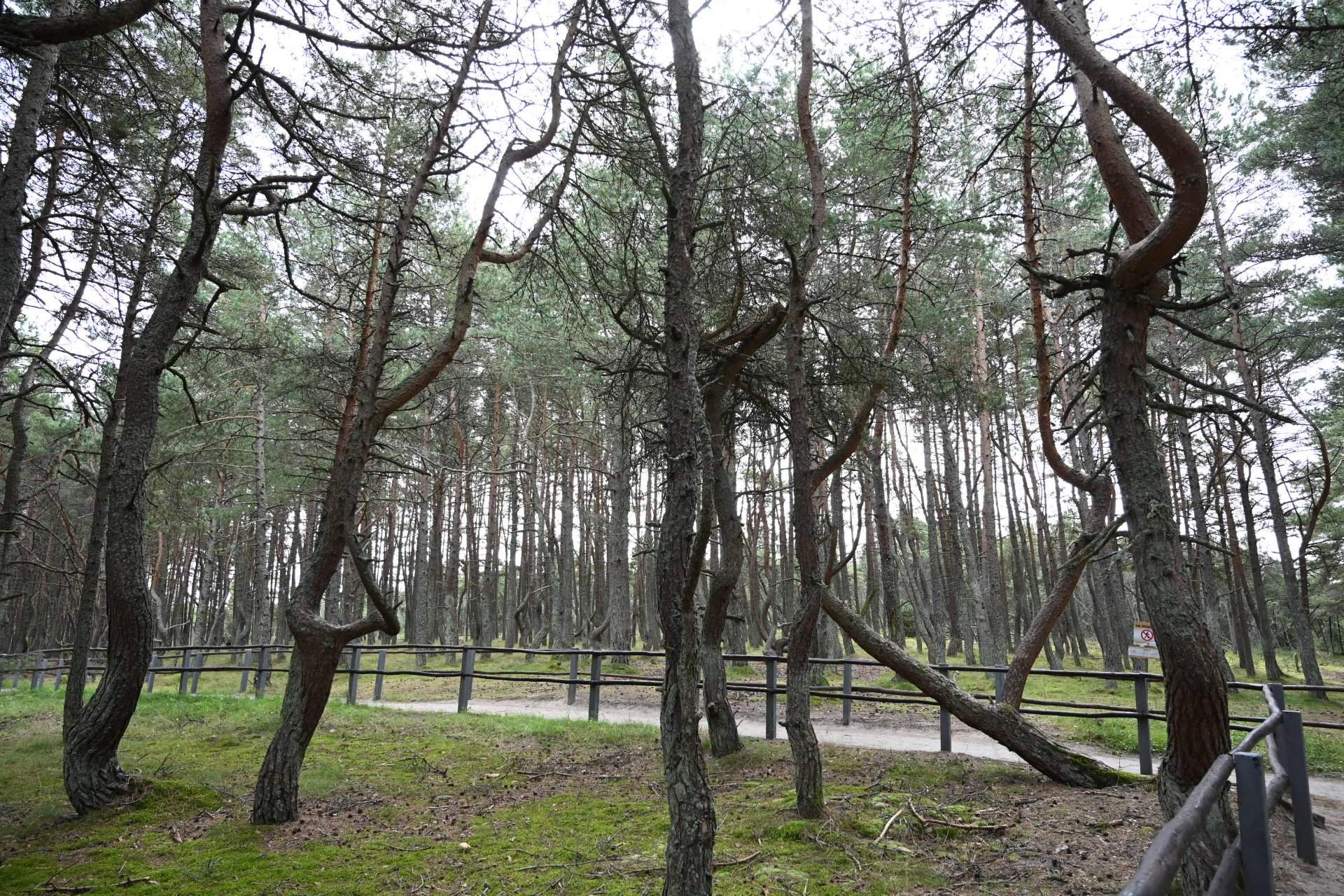 Романтика Балтийского побережья: 4 дня — фотография 8
