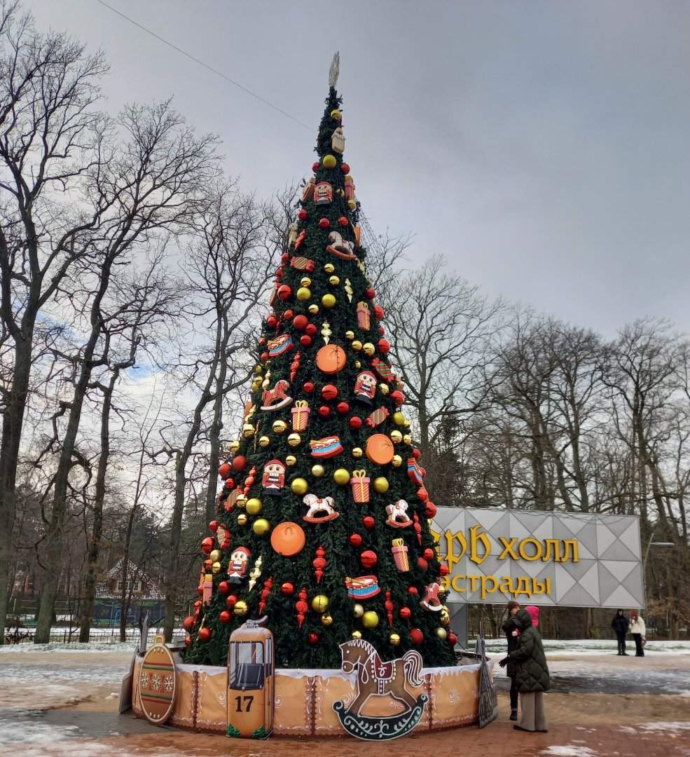 Встреча Нового года в сказочном Светлогорске на берегу Балтийского моря — фотография 7