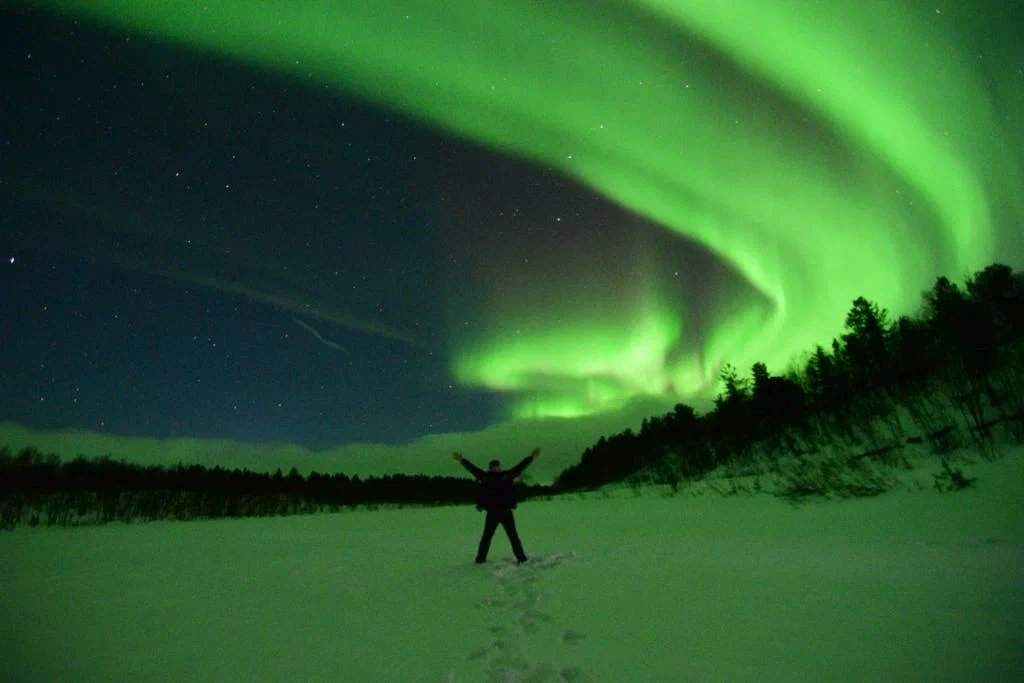 Северное сияние и киты: мечта всей жизни — фотография 4