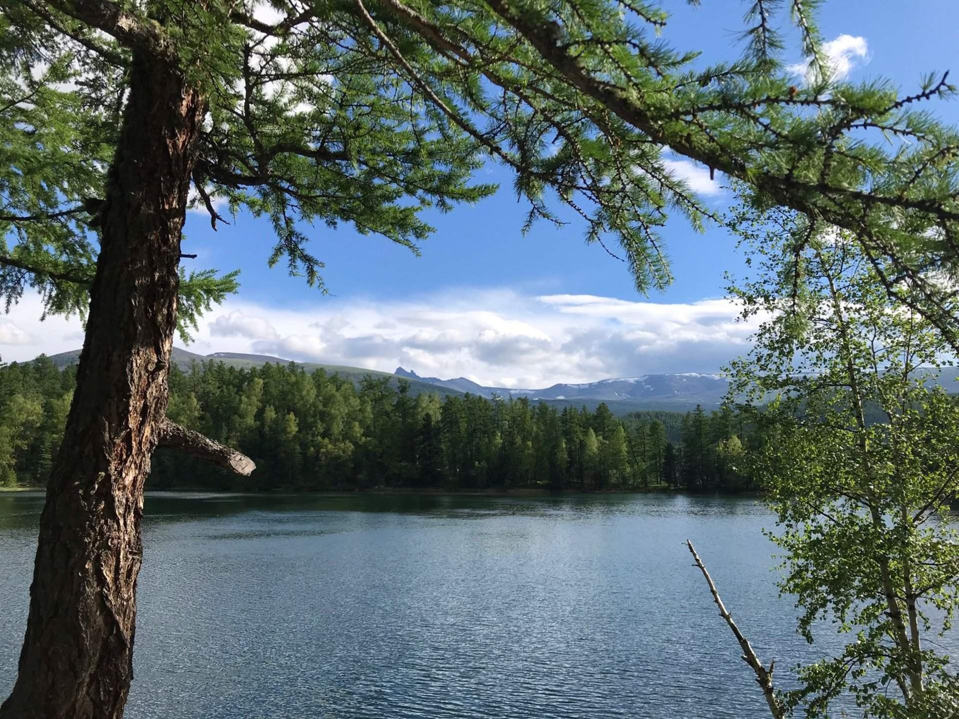Многоликий Алтай  — фотография 1