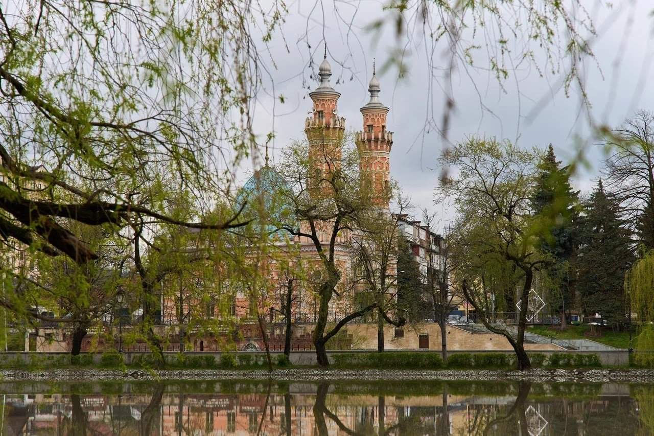 Лучшая встреча в горах Осетии и Ингушетии — фотография 7
