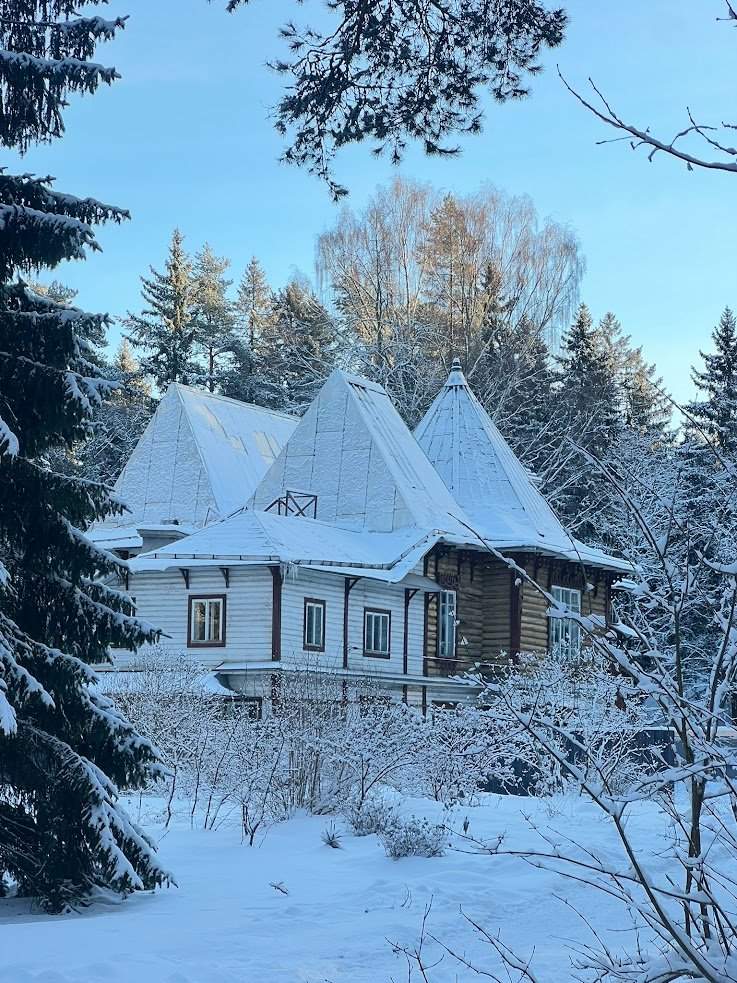 Новогодние каникулы в Выборге: раскроем истории и тайны старинных усадеб — фотография 5