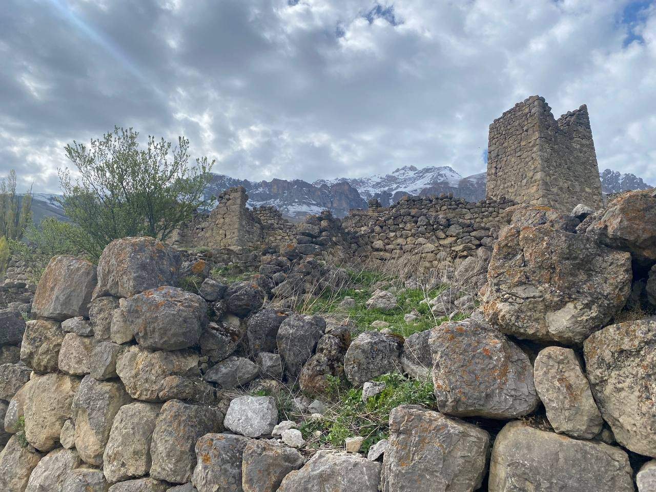 Лучшая встреча в горах Осетии и Ингушетии — фотография 2