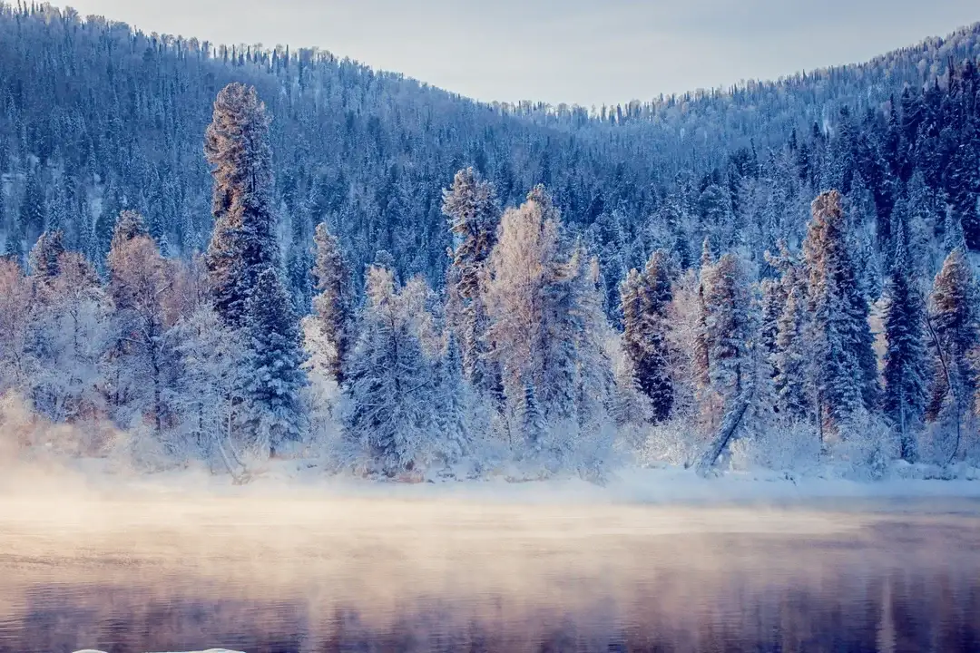 Горнолыжный тур «Телецкое — Шерегеш» (6 дней) — фотография 4