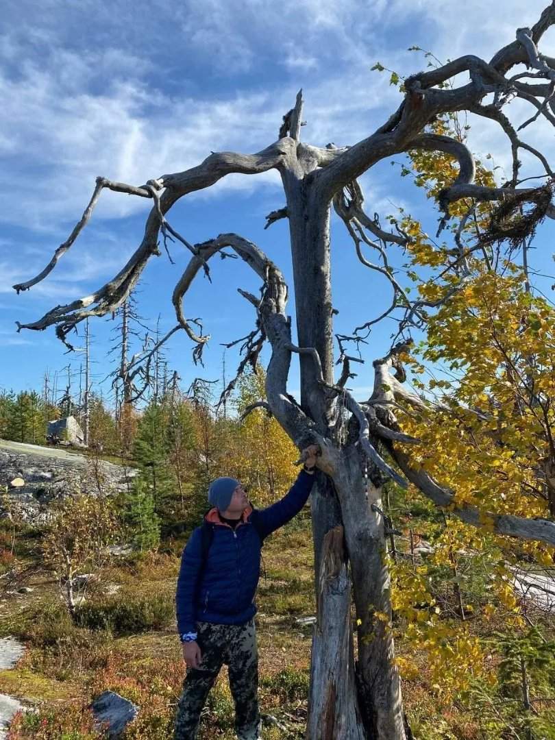 Путешествие к мистической Воттовааре: три дня наедине с природой Карелии — фотография 4