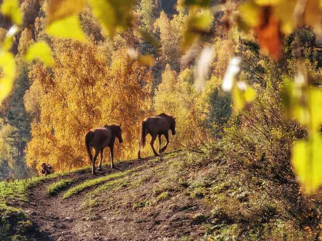 Фотография тура 8