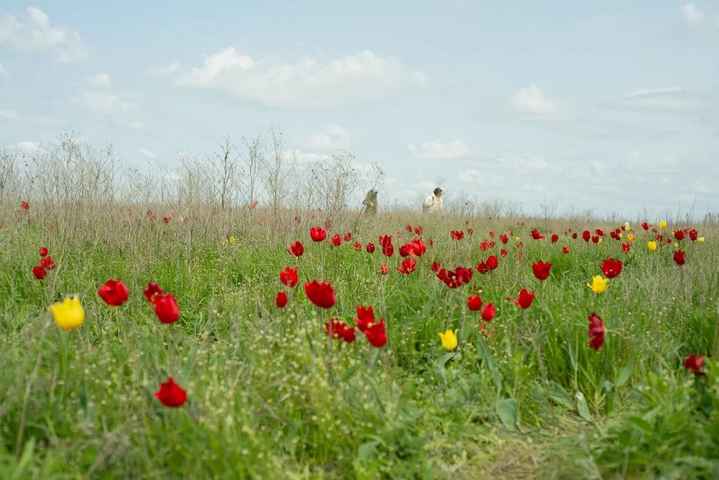Фотография тура 5